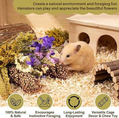 Sukh Natural Hamster Bedding Sprays - Foraging Habitat Decor Cage Accessories, Hideout Enrichment for Dwarf & Syrian Hamsters, Gerbils, Mice and Other Small Animals