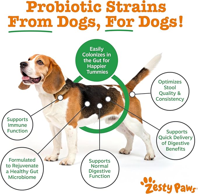 Zesty Paws Native Canine Probiotic - for Occasional Diarrhea + Digestive Health, Gut Flora & Immune System Support - Scientifically Studied & Veterinarian Formulated Probiotics for Dogs - 30 Packets