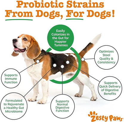 Zesty Paws Native Canine Probiotic - for Occasional Diarrhea + Digestive Health, Gut Flora & Immune System Support - Scientifically Studied & Veterinarian Formulated Probiotics for Dogs - 30 Packets