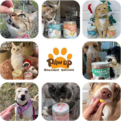 PAWUP Freeze-Dried Pumpkin Treats for Dogs & Cats – High Fiber, Single Ingredient Natural Snacks for Digestion & Gut Health, Healthy Food Toppers, 1.58 oz