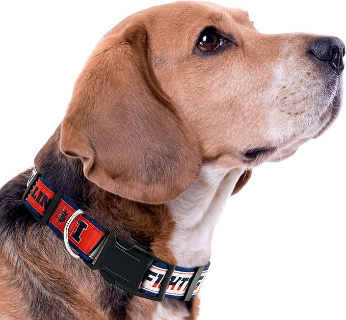 Pets First Collegiate PET Collar New Version Illinois Fighting Illini Dog Collar, Size Small. Best Sports Team Color for Dogs & Cats. A Shiny & Colorful Dog & Cat Collar Licensed by The NCAA