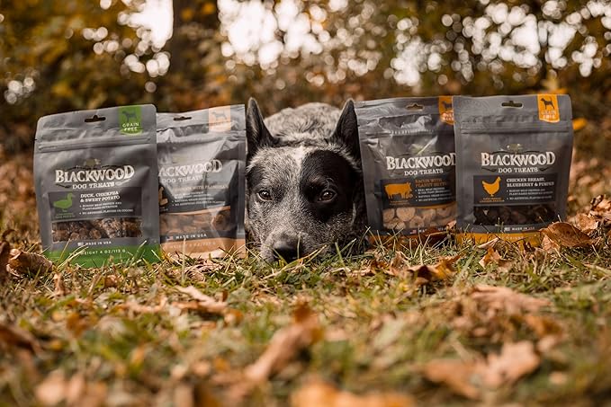 Blackwood Oven Baked Dog Treats, Chicken with Parmesan, 8 Ounce Pouch, Training Treats for All Life Stages and Breed Sizes (Pack of 2)
