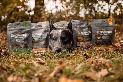 Blackwood Oven Baked Dog Treats, Chicken with Parmesan, 8 Ounce Pouch, Training Treats for All Life Stages and Breed Sizes (Pack of 2)