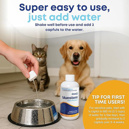 bluestem Freshens Dog and Cat Breath - Safe and Effective Dental Water Additive - 17 Ounce - Chicken