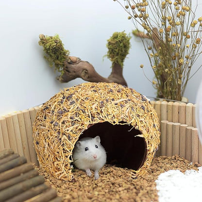 Hamster Hideout - Large, Natural Flowers, Handcrafted for Syrian Hamsters, Rats & Guinea Pigs, Safe & Eco-Friendly (Flower,Large)