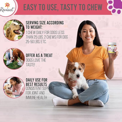 Total Health Dog Chews 12-in-1, Hip and Joint Supplement with Glucosamine Chondroitin for Dogs, Dog Multivitamin Treats with Omega 3 Salmon Oil and Vitamins for Skin and Coat Support, 60 Soft Chews