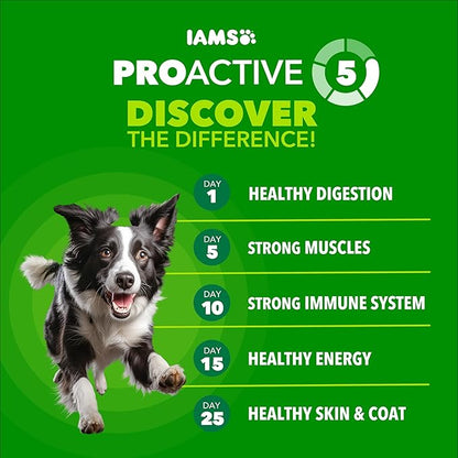 IAMS Proactive Health High Protein Dry Dog Food with Chicken & Beef, 15 lb. Bag