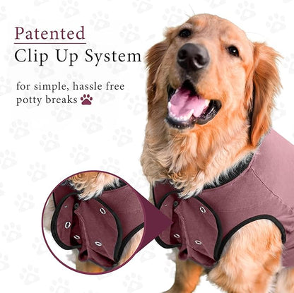 BellyGuard Dog Surgery Recovery Suit, Dog Onesie for Post-Op Care, Recovery Apparel for Female and Male, Surgical Body Cover for Canine Healing Support