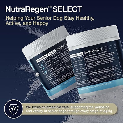 Nutraregen Digestive Senior Dog Probiotic Powder 30 Scoops | Beef Flavored Dog Probiotics for Digestive Health, Supports Gut Health, Scratching, Itchy & Dry Skin, Allergies 2.1 Oz | 7 Bn CFU