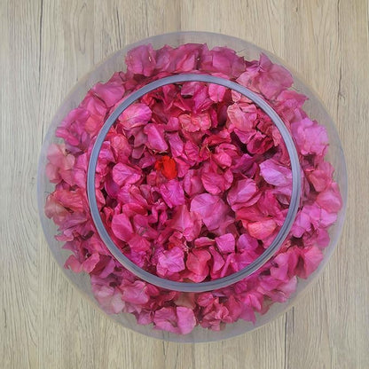 CYS EXCEL Large Glass Bubble Bowl (H-13.5" W-15.25", Approx. 9 Gal.) Round Bowl Terrarium Globe Flower Vase Centerpiece for Weddings Events Arrangements