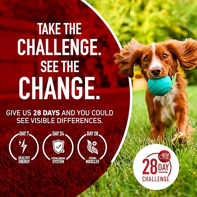 Purina ONE Small Bites Beef and Rice Formula Small High Protein Dry Dog Food Natural With Added Vitamins, Minerals and Nutrients - 16.5 lb. Bag