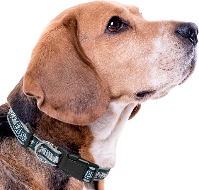 Pets First NFL Philadelphia Eagles Licensed PET COLLAR, Large - Heavy-Duty, Strong, and Durable Dog Collar. Available in 31 Football Teams and 4 Sizes