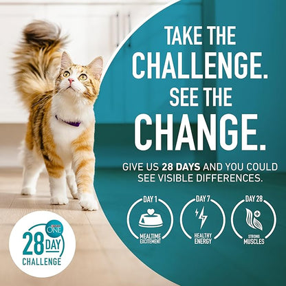 Purina ONE Natural, Low Fat, Weight Control, Indoor Dry Cat Food, +Plus Indoor Advantage - 22 lb. Bag