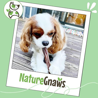 Nature Gnaws Beef Gullet Sticks for Dogs 5-6" (15 Count) - Natural Beef Jerky Stick Dog Chew Treats - Rawhide Free