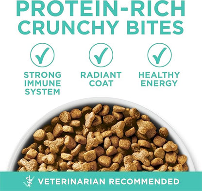 Purina ONE Sensitive Stomach, Sensitive Skin, Natural Dry Cat Food, +Plus Sensitive Skin and Stomach Formula - 7 lb. Bag