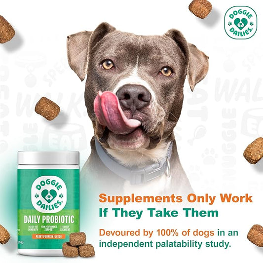 Doggie Dailies Probiotics for Dogs - Advanced Dog Probiotics with Prebiotics - Promotes Digestive Health - Supports Immune System and Overall Health (Pumpkin) 225 Soft Chews