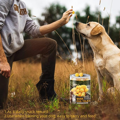 Dehydrated Quail Egg Yolk Snacks for Cats and Dogs Training 240g（8.46oz, Natural Dog Food Limited Ingredient, Healthy Tasty Freeze-Dried Pet Treats for Dogs Cats