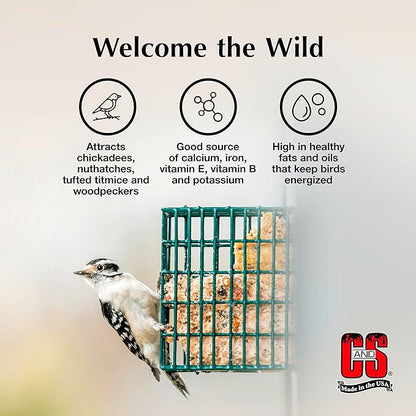 C&S Sunflower Suet Treat, for Chickadees, Nuthatches, Tufted Titmice, Woodpeckers, Wrens, Warblers, Brown Creepers, Northern Flickers, Pine Grosbeaks, Jays and More, 11 Ounces, Pack of 8
