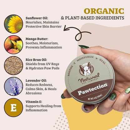 Natural Dog Company Pawtection Balm for Hot Pavement, Dry Cracked Dog Paws, and Rough Terrain - Safe, Non-Toxic, and Lick Safe - Protects Paws with Natural Ingredients, 1 oz Tin