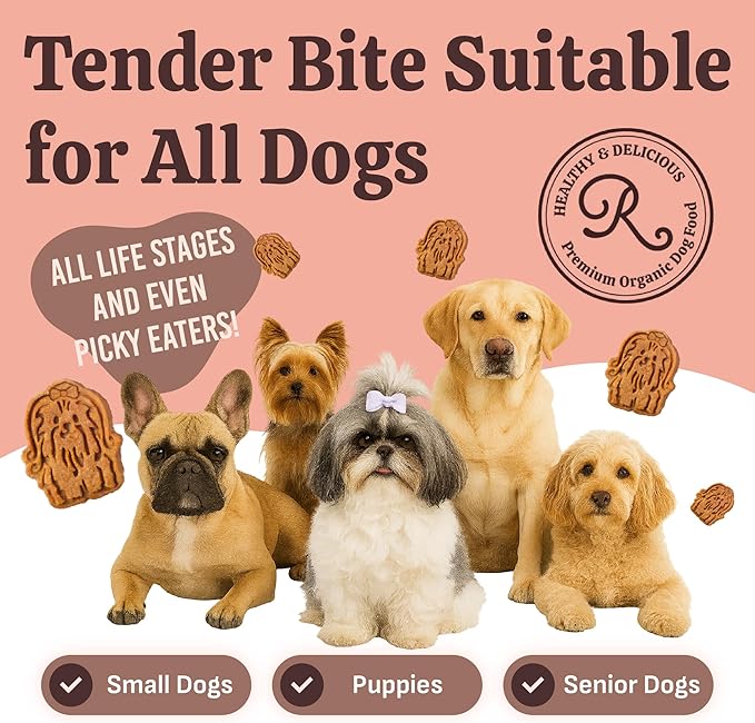 Rondi's Kitchen Lilly's Littles Organic Tender Dog Treats - Natural Doggie Cookie for Small Dogs, Puppy, Senior, Training - Human Grade Superfood Biscuit with Bone Broth - Chicken & Peanut Butter