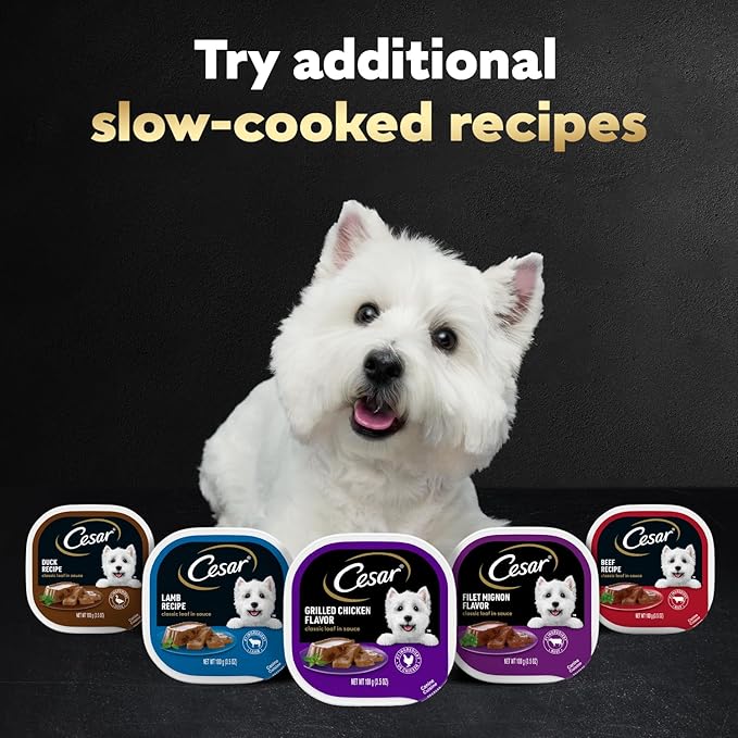 Cesar Classic Loaf in Sauce Adult Wet Dog Food Chicken and Liver Recipe, Wet Food for Dogs, 3.5 oz Easy Peel Trays, 24 Count (Pack of 2)