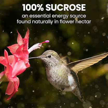 Perky-Pet Hummingbird Nectar Concentrate for Hummingbird Feeder - 32 oz - Makes 96 FL OZ of Red Food Nectar - 238
