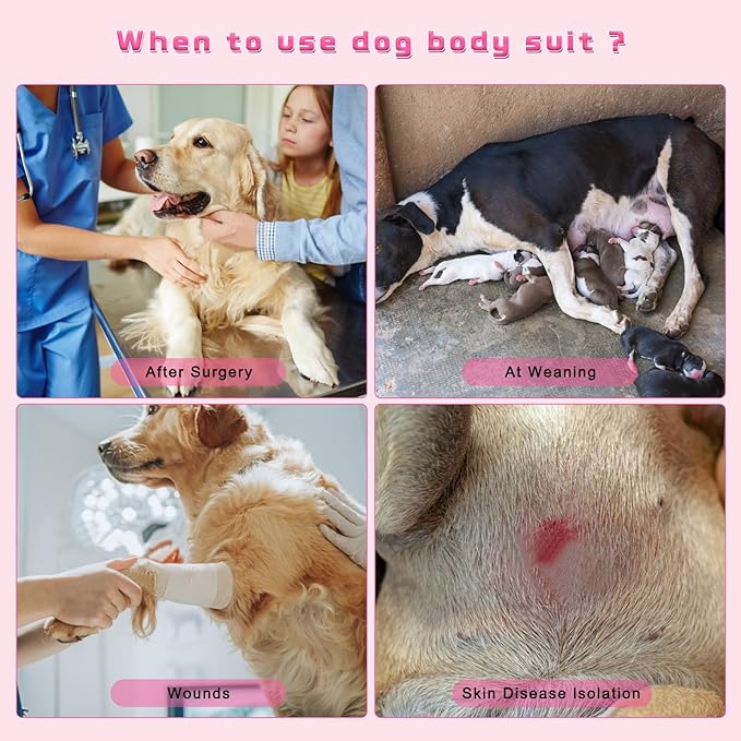 2 Packs Breathable Cotton Dog Recovery Suit for After Neuter Spay Abdominal Wounds Protector, Professional Anti-Licking Onesies for Male Female Pets Surgery Bandages, S Purple & Pink Stripes