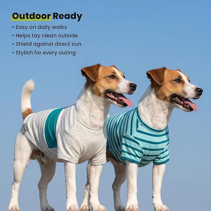 Fitwarm 3 Pack Color Block Striped Dog Shirt, Summer Dog Clothes for Small Dogs, Breathable Lightweight Pet Tshirt with Sleeves, Cat Outfit, Royal Blue, Gray, Teal, Small