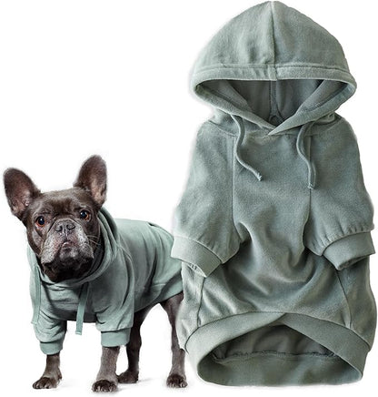 Pet Passion Cooper II Organic Cotton Velour Dog Hoodie Pet Coat for Small, Medium and Large Dogs, Sage, Small (10-25 lbs)