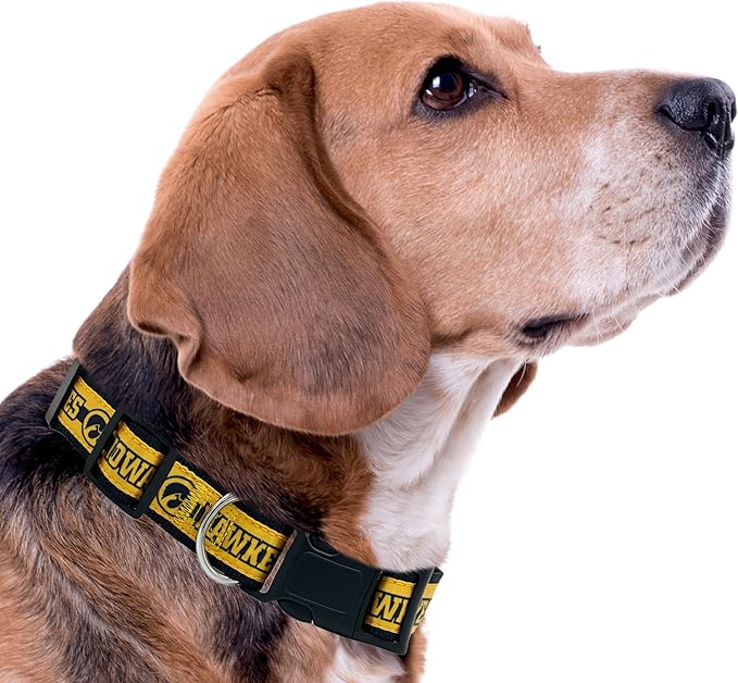 Pets First Collegiate PET Collar New Version Iowa Hawkeyes Dog Collar, Size Large. Best Sports Team Color for Dogs & Cats. A Shiny & Colorful Dog & Cat Collar Licensed by The NCAA