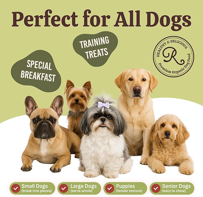 Rondi's Kitchen Organic Dog Pancake Mix - Natural Healthy Treat for All Dogs - Superfood Snack Made with Human-Grade Ingredients - Makes About 38 Pancakes - Chicken & Apple with Bone Broth