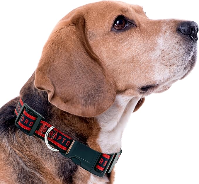 New & Improved Pets First NBA Toronto Raptors Dog & Cat Collar, Size Small Basketball Team Collar
