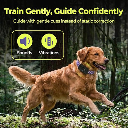 MeeXH GPS Wireless Dog Fence Collar, Smart Dog Tracking Collar with App-Controlled Custom Virtual Boundaries, Real-Time GPS Tracker for Dogs, Escape Alerts with Sound & Vibration Guidance, Waterproof