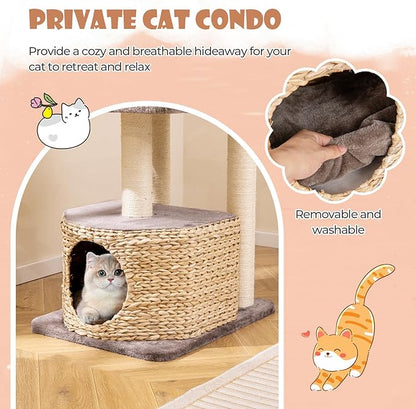 PETSITE 52 inch Cattail Cat Tree, Multi-Level Cat Tower with Scratching Posts, Cat Condo, Top Perch, Hanging Jingling Ball and Soft Washable Cushions, Modern Cat Tree for Indoor Cats