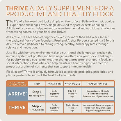 FlockLeader Thrive, Daily Probiotic & Prebiotic Water Supplement for Chickens 8+ Weeks Old, 8 oz (Pack of 2)
