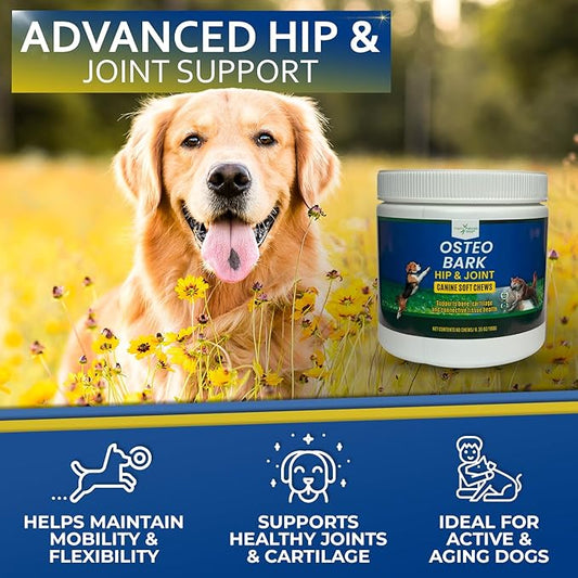 Osteo Bark Hip & Joint Canine Soft Chews, 60 Count, Bone and Joint Support for All Dog Breeds - Glucosamine & Chondroitin Chews with MSM - Pain, Inflammation, Arthritis