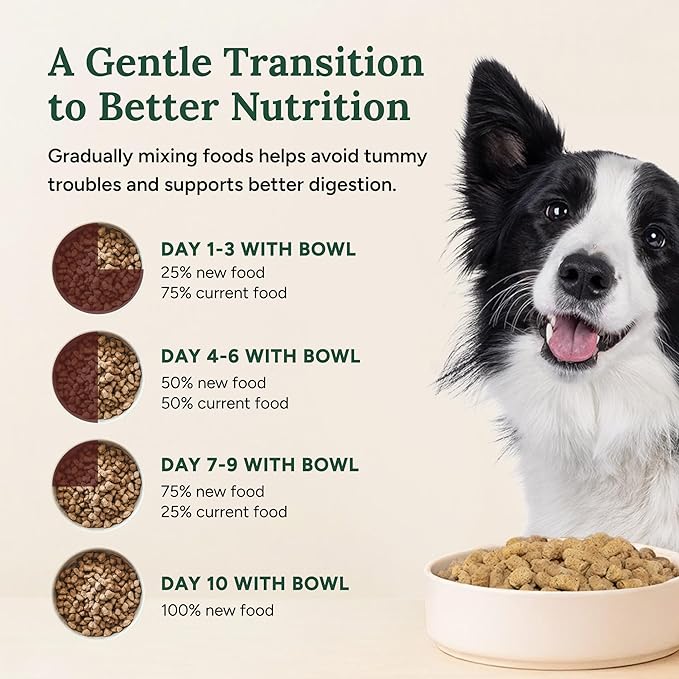 360 Pet Nutrition Freeze-Dried Raw Dog Food – Chicken Recipe with Liver & Organs, High Protein, Omega-3s, Fruits, Veggies & Superfoods, Grain-Free, No Fillers 4 x 16 oz Made in USA