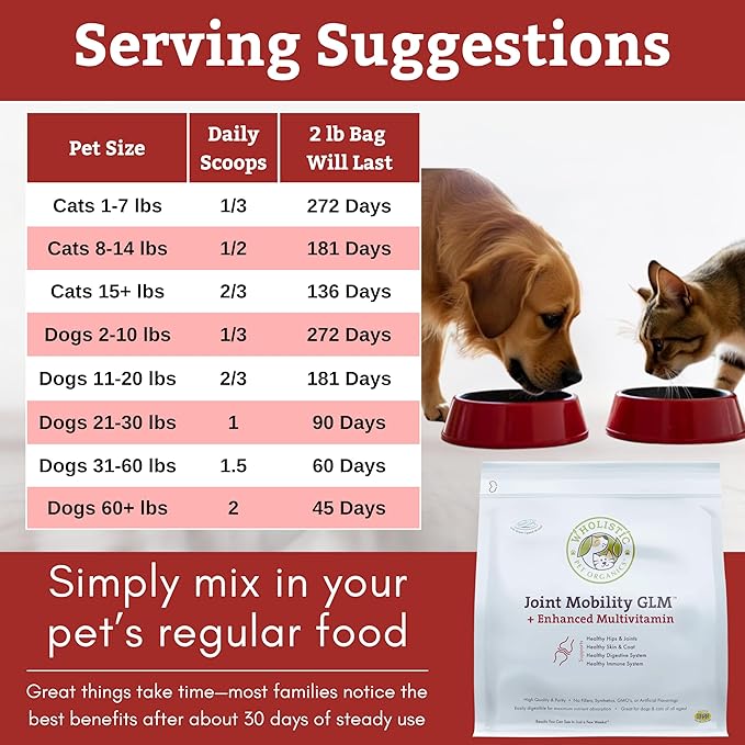 Wholistic Pet Organics - Hip and Joint Supplement for Dogs & Cats - Cat & Dog Joint Supplement - Green Lipped Mussels, Glucosamine, Chondroitin for Dogs & Cat Mobility Support - 2 Lb - 90 Scoops