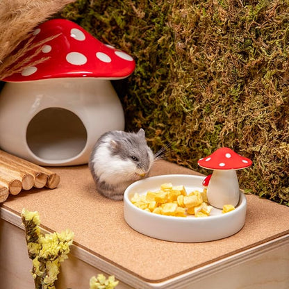Niteangel Hamster Snack & Treats Toy - Small Animal Natural Treat for Dwarf Syrian Robo Hamsters Gerbils Mice Lemmings Degus or Other Small-Sized Pets