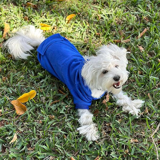 Jecikelon Winter Dog Hoodie Sweatshirts with Pockets Warm Dog Clothes for Small Dogs Chihuahua Coat Clothing Puppy Cat Custume (Dark Blue, X-Large)