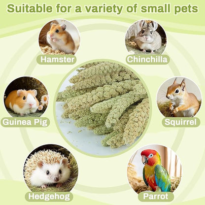 Sukh Hamster Millet Sprays - 30Pcs Natural Millets 12.6In Hamster Bedding Decor Cages and Habitats Accessories Spray for Dwarf Syrian Hamsters Chinchilla Squirrel and Birds