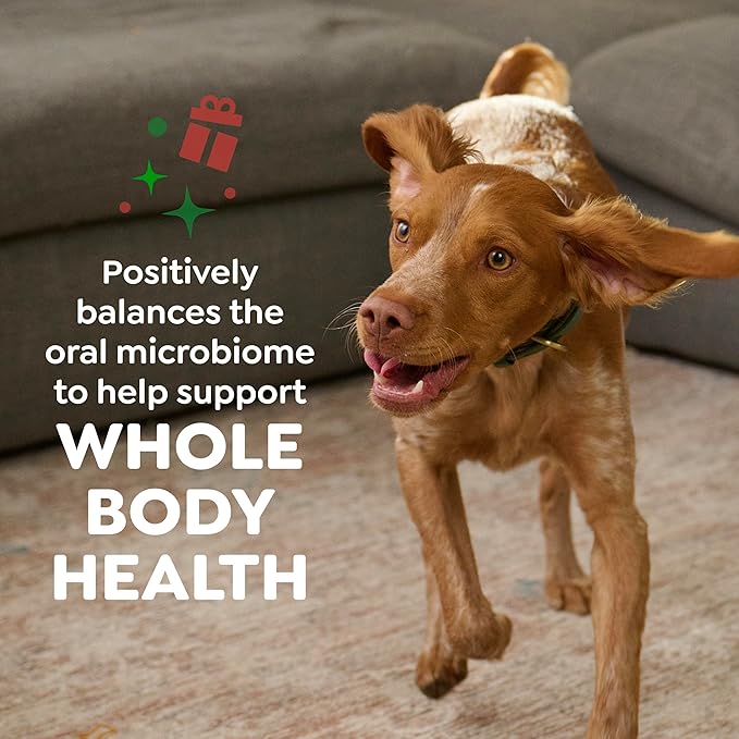 Greenies Veterinarian-Recommended, Limited-Edition Natural Dental Dog Treats Teenie Size, Gingerbread Flavor, 6 oz. Pack, 22 Count