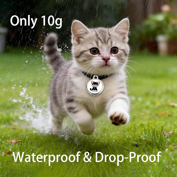 GPS Pet Tracker with Apple Find My Network, Android Compatibility, Real-Time Location Tracking, Water-Resistant (DINGWEIQI02)