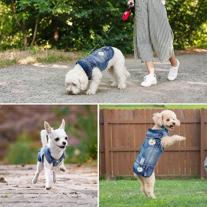 Pawstrip Dog Denim Jacket with Embroidered Daisy, Ripped Vintage Jean Vest for Small Dogs, Puppy, Pugs, Chihuahuas, Spring Summer Fall Festival Outfit, Small (Fits Chest 11-12")