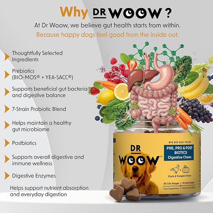 Probiotics Supplements for Dogs Soft Chews (90 CT) – Digestive Support + Gut Balance & Healthy Stool Support – Probiotics + Digestive Enzymes – Duck & Pumpkin Flavor – Made in USA