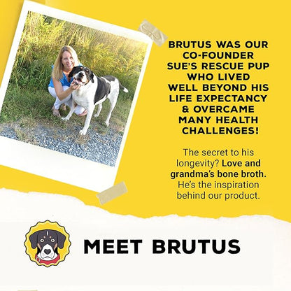 Brutus Broth Dog Food Topper - Instant Bone Broth Powder with Probiotics for Dogs’ Daily Digestive Health - Human-Grade Quality, Serve Dry or Wet - Pork Flavor, 3.5 oz (Pack of 1)