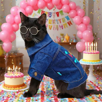 Dog Jean Jacket with D-Ring Blue Denim Coat Dogs Outfits for Small Dogs Cats Boy Male Girl Birthday Clothes Costume Letter Embroidery Dogggie Puppy Winter Warm Clothes(Birthday Baby,S)