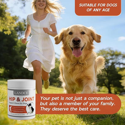 LANDCE Dog Hip and Joint Supplement, 200ct Glucosamine Chondroitin for Dogs with MSM, Green Lipped Mussel & Collagen Advanced Joint Pain Relief & Arthritis Support Senior Dog Joint Chews, All Breeds