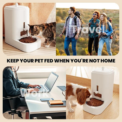 Automatic Cat Food Dispenser with Stainless Steel Bowl | Dog Water Bowl Dispenser Adjustable Water Dispensing, Auto Pet Waterer for Cats and Dogs
