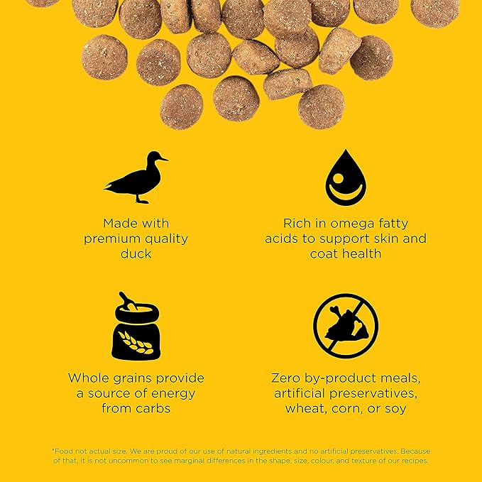 Go! Solutions Skin + Coat Care Duck Dry Dog Food with Grains, Chicken-Free, Healthy Kibble with Omega-3s & 6s for Soft, Shiny Fur, for Puppies, Adults, & Seniors, 22 lb Bag